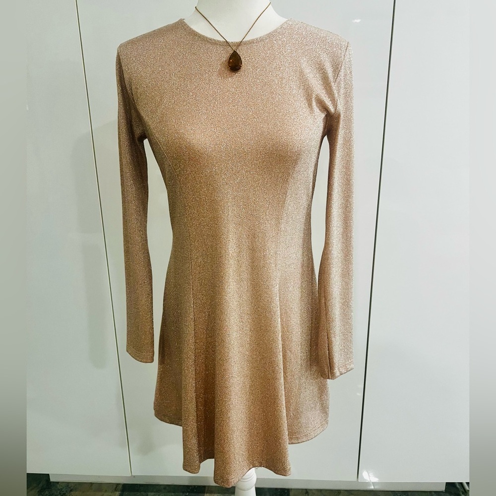 Soft Fabric Forever 21 Champagne Shimmer Dress Long Sleeve Size L NWT